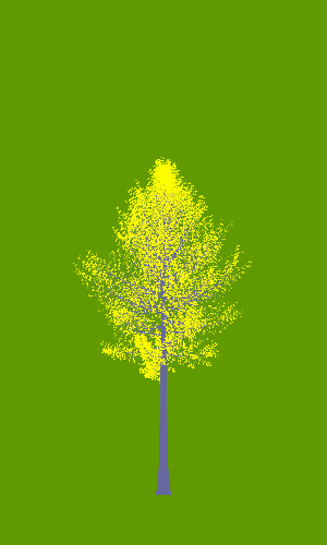 Treee