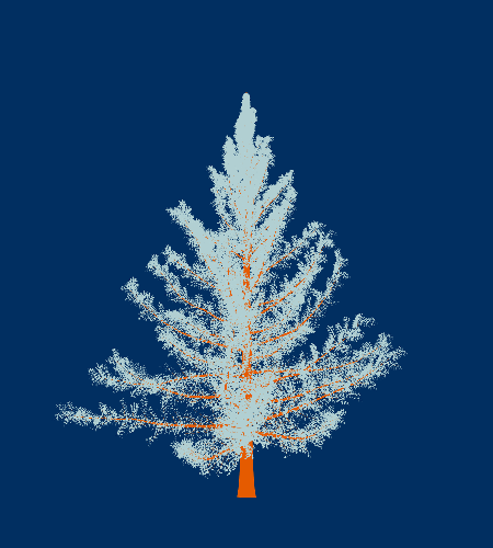 Treee