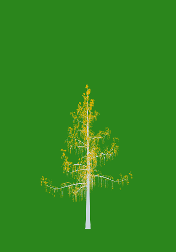 Treee