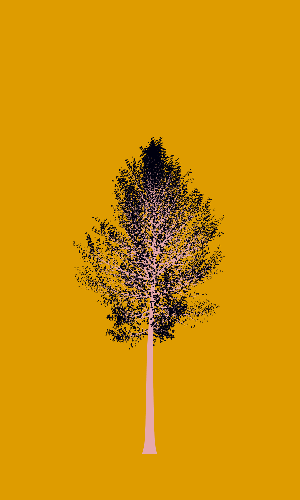 Treee