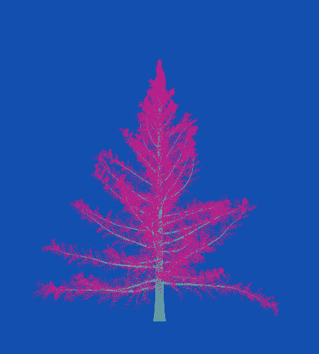 Treee