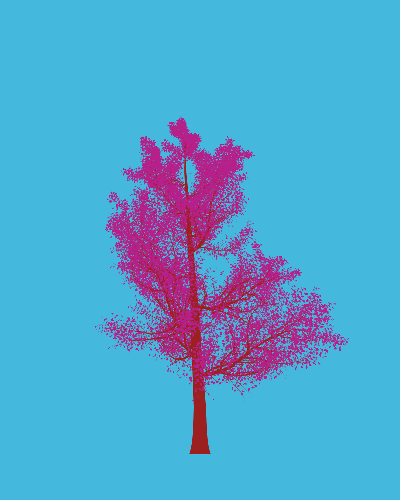 Treee