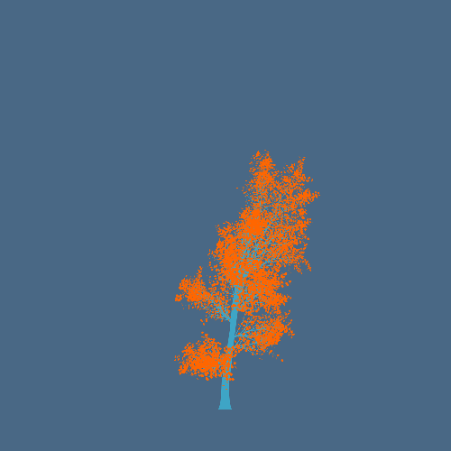 Treee