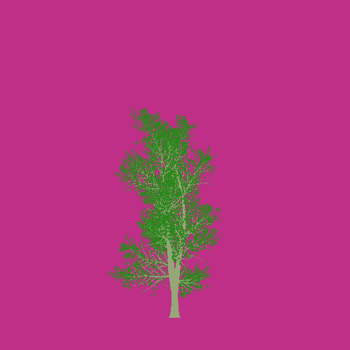 Treee