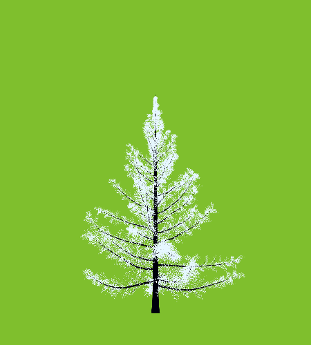 Treee