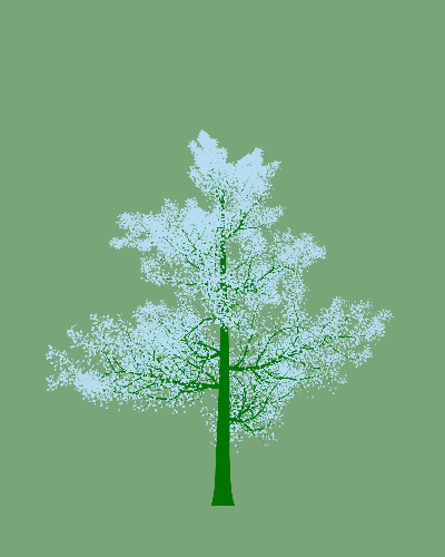 Treee