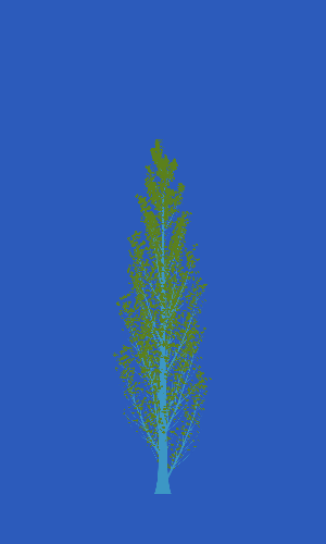 Treee