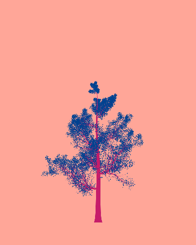 Treee