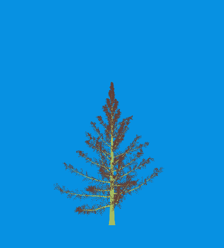 Treee