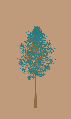 Treee