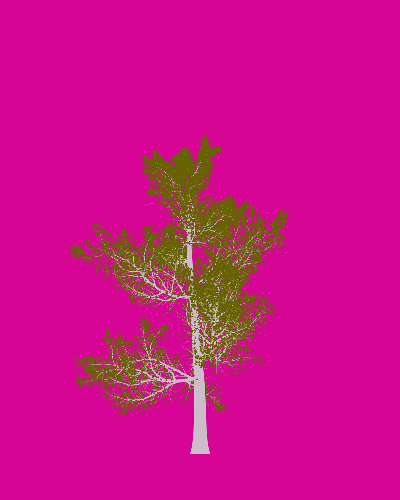 Treee