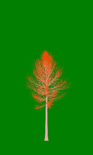 Treee