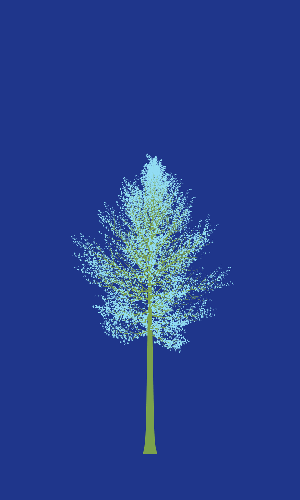 Treee