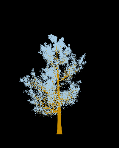 Treee