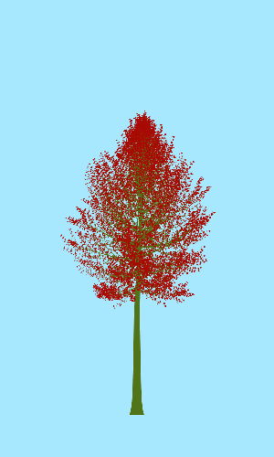 Treee