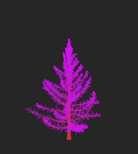Treee