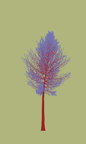 Treee
