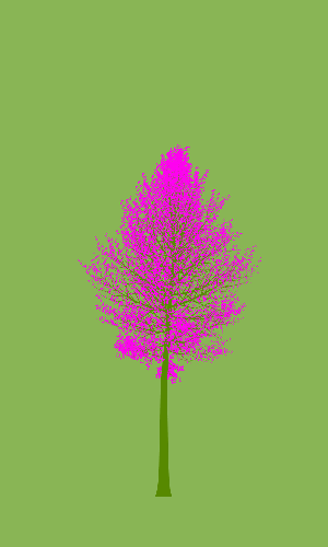 Treee