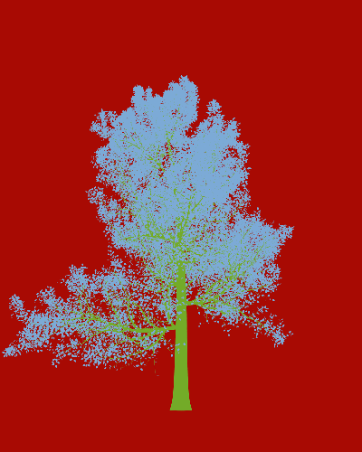 Treee