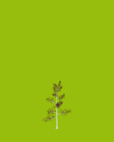 Treee