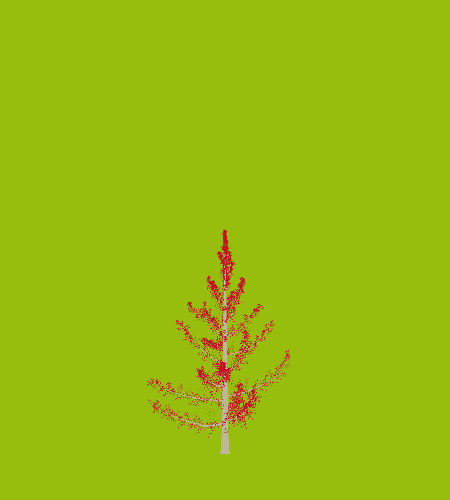 Treee
