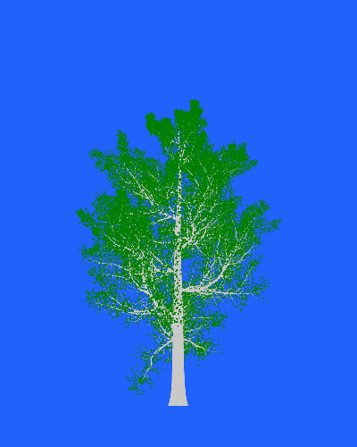Treee