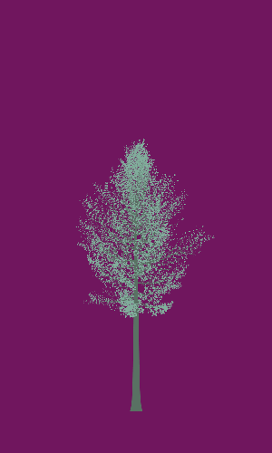 Treee