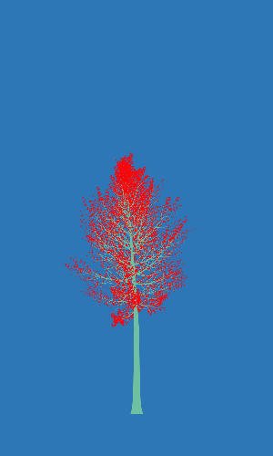 Treee