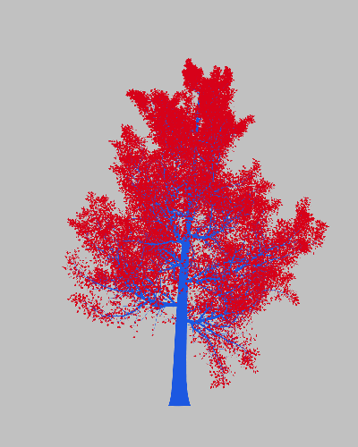 Treee