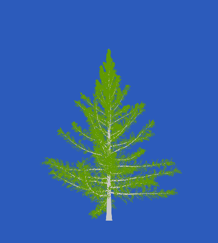 Treee