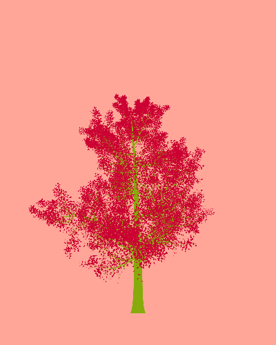 Treee