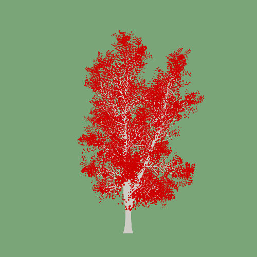 Treee