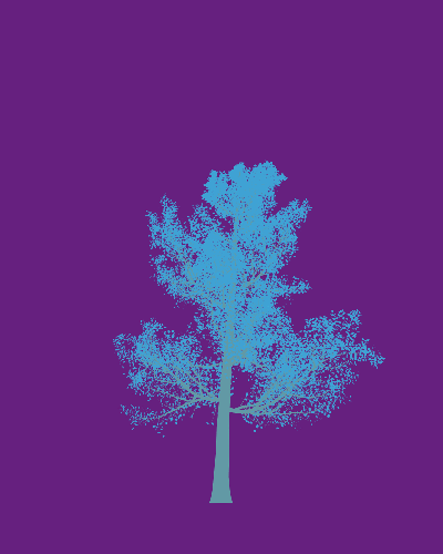 Treee
