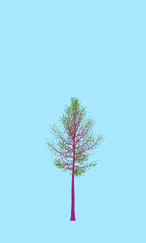 Treee
