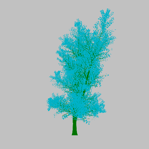 Treee