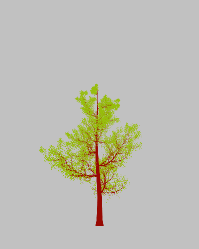 Treee
