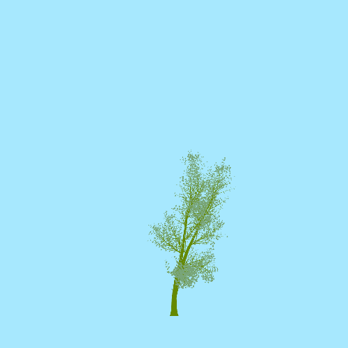 Treee