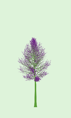 Treee