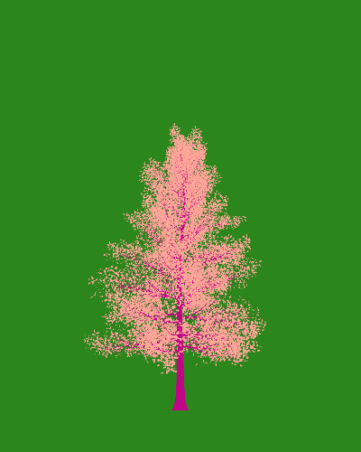 Treee