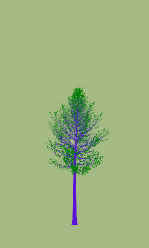 Treee
