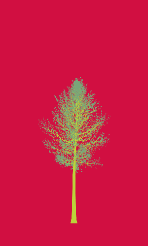 Treee
