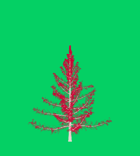 Treee
