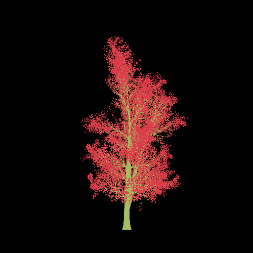 Treee
