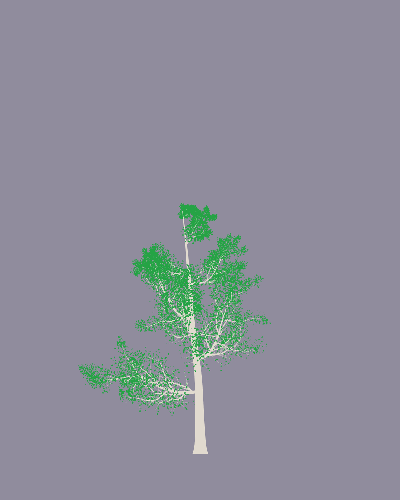 Treee