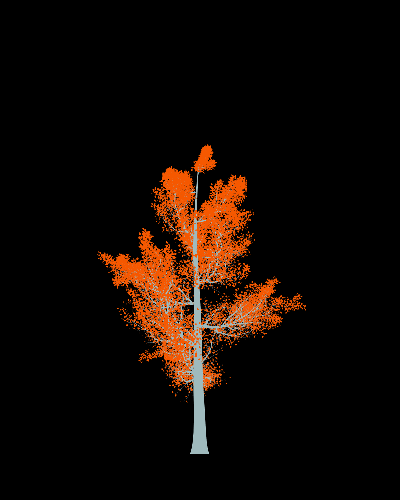 Treee