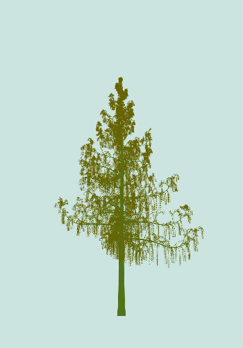 Treee