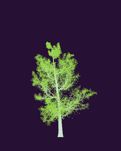 Treee
