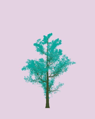 Treee