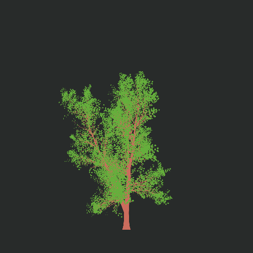 Treee