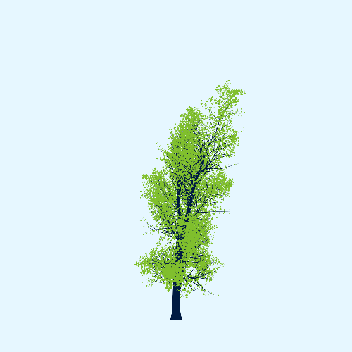 Treee